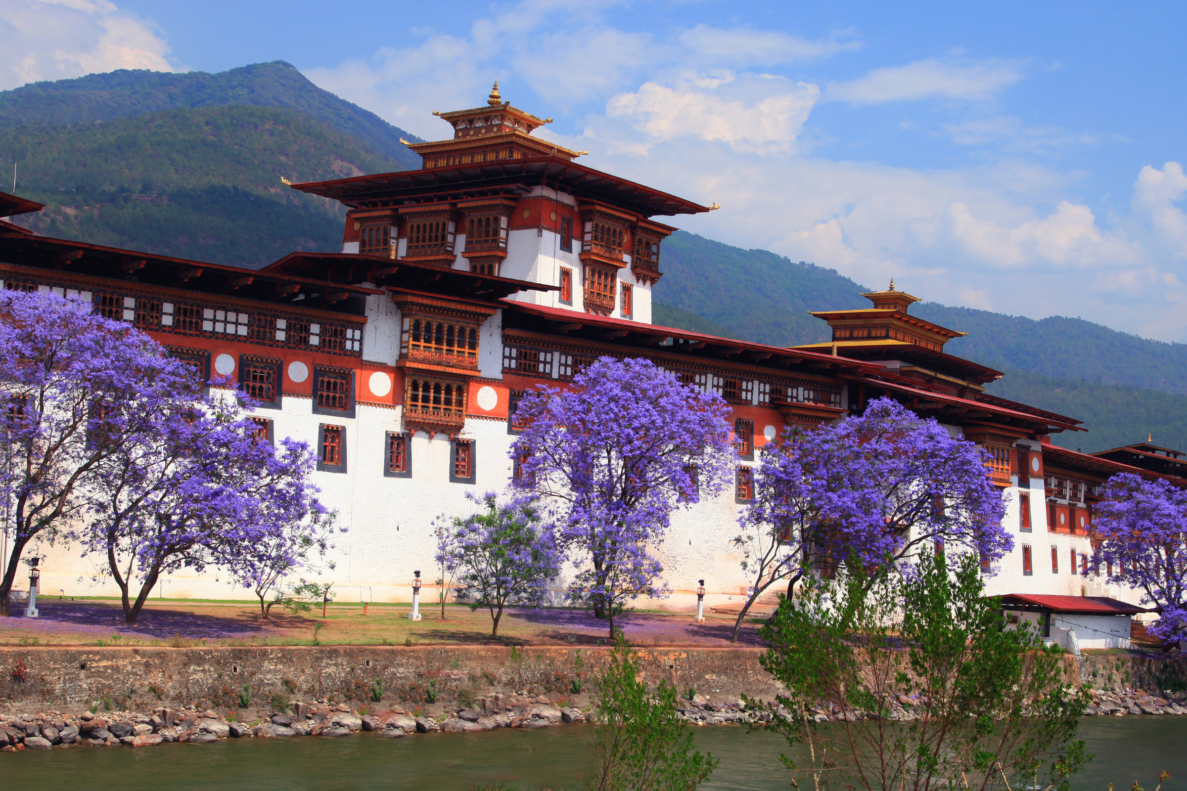 punakha (bhutan) (2).webp